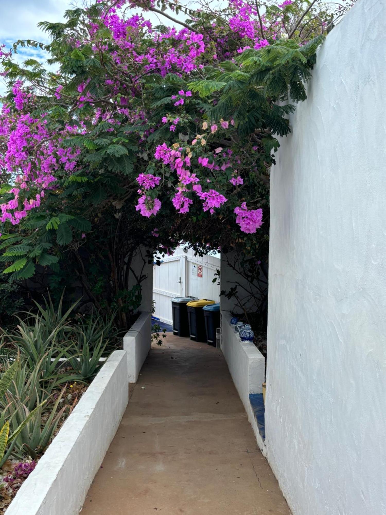 Apartamentos Y Habitaciones Villa Marina La Caleta  Kültér fotó