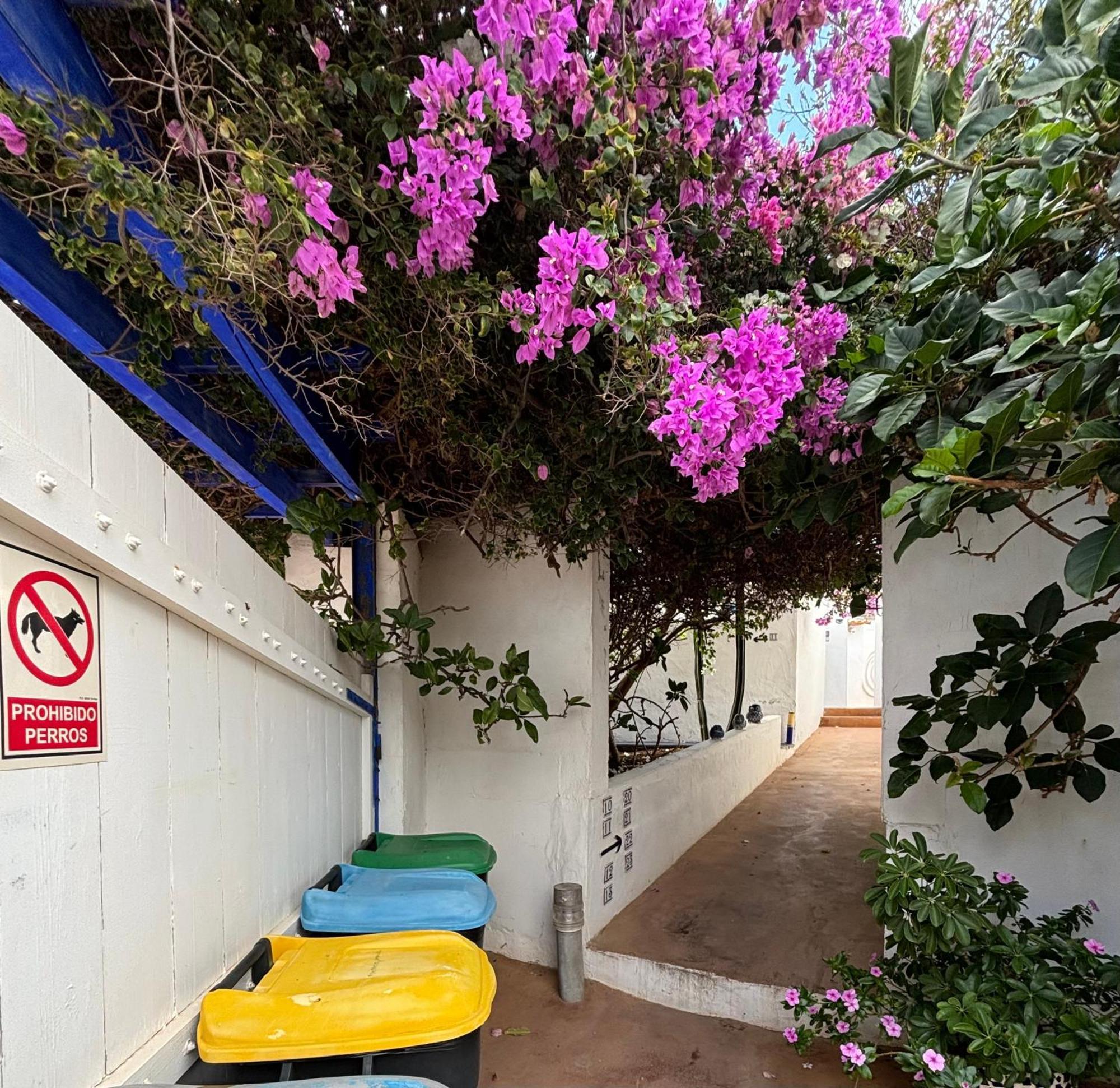 Apartamentos Y Habitaciones Villa Marina La Caleta  Kültér fotó