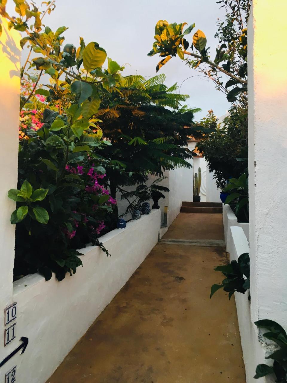 Apartamentos Y Habitaciones Villa Marina La Caleta  Kültér fotó