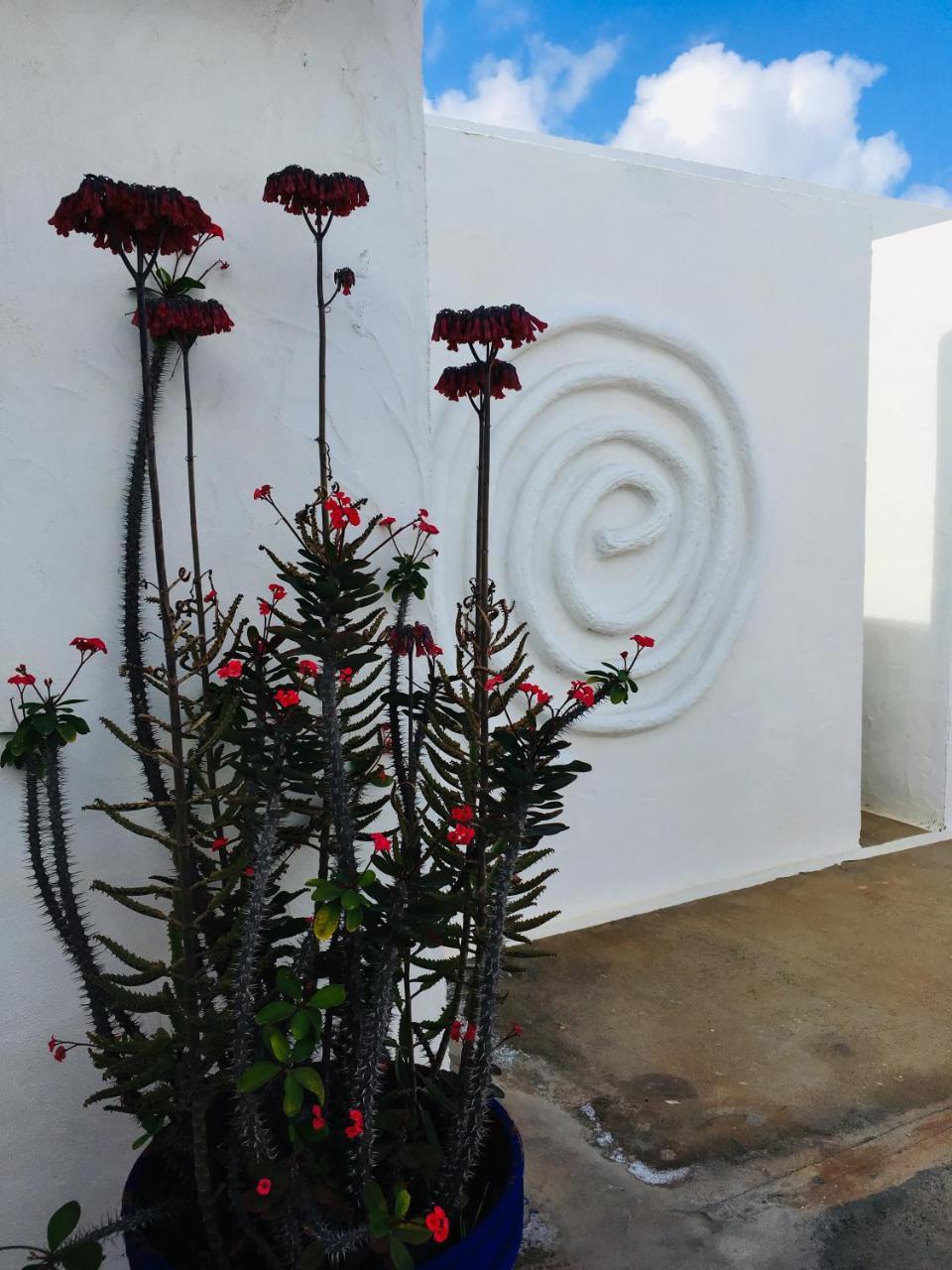 Apartamentos Y Habitaciones Villa Marina La Caleta  Kültér fotó
